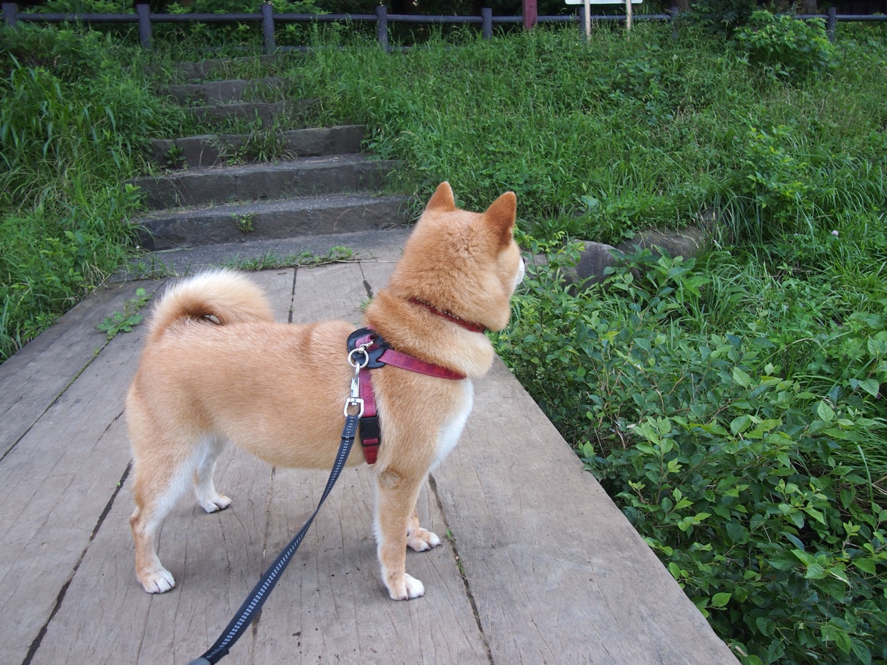 开云网页版-APEX英雄 战队备战国际赛事，apex英雄 比赛