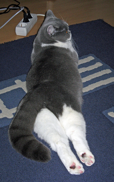 kaiyun.com-CBA未来赛制创新，季后赛淘汰规则优化引热议，cba赛程季后赛规则2020