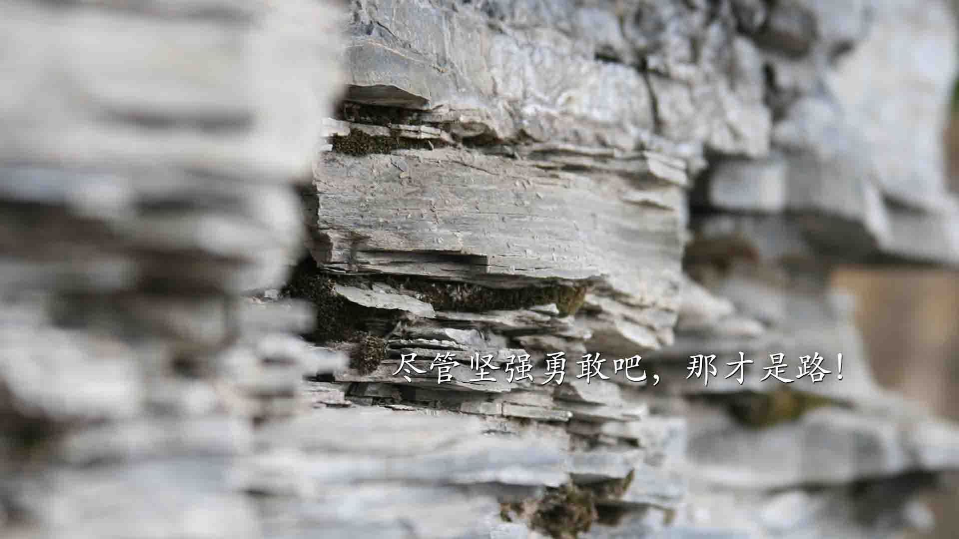 开云 官网 入口-_城市漂移赛：汽车与城市的速度狂欢_，城市飘移赛车