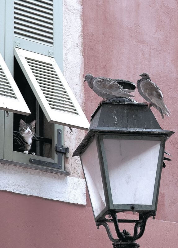 kaiyun网站-_湖人队整体协作，成功拿下强敌_，湖人队rice