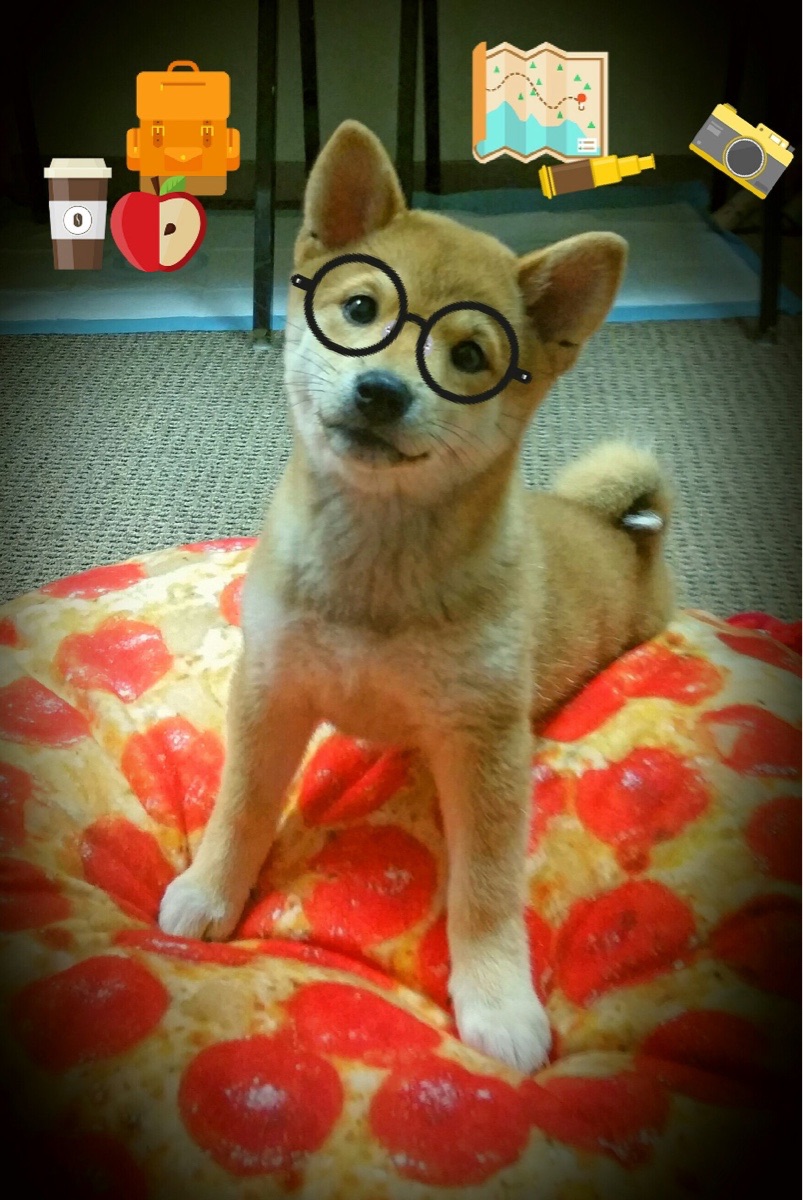 开云官网入口-“中超联赛激烈竞争，排名不断变动”，中超联赛最新排名