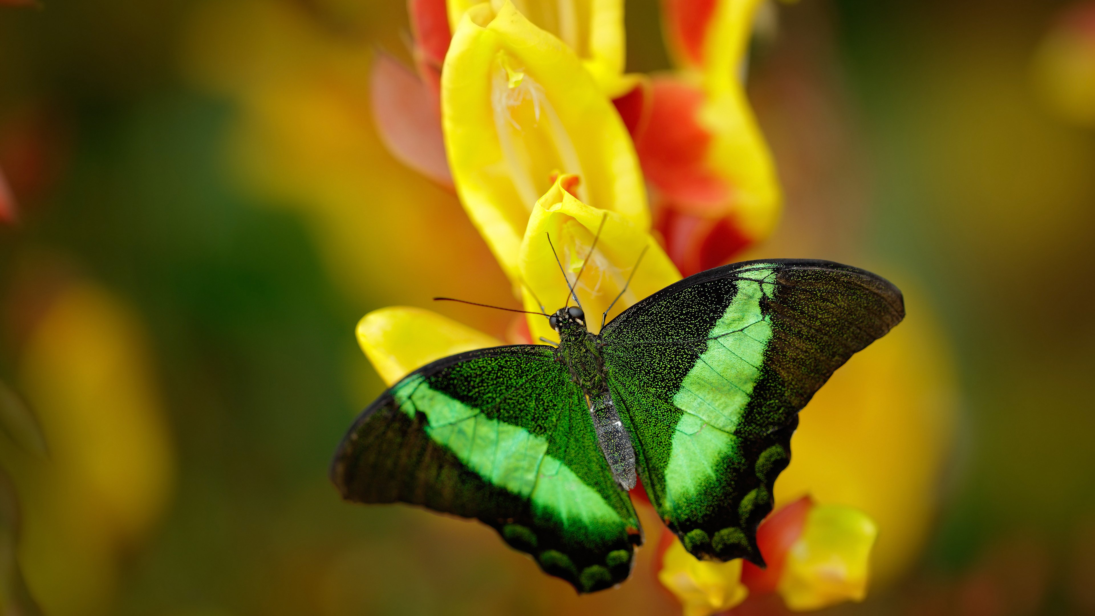 kaiyun.com-【大数据助力】如何让战术决策更科学、更精准？，战术决策案例