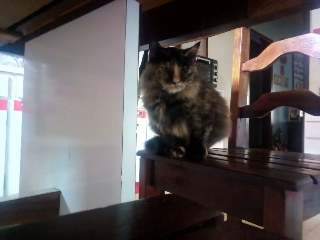 开云 官网 入口-乡村骑行寻宝赛，绿色生态与趣味结合，乡村骑自行车图片大全