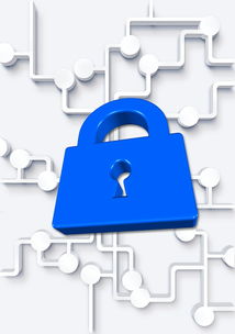 kaiyun体育app-高校体育社团管理数字化平台构建方案，全国性体育社团